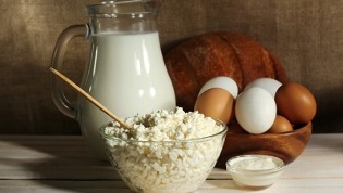 protein foods for proper nutrition